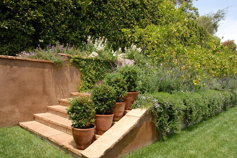 Outdoor Living