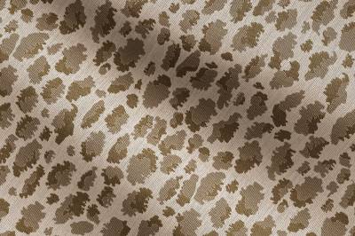 Camel/892-483