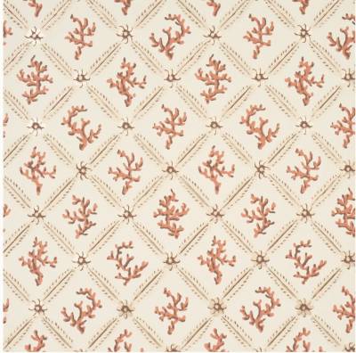 5014661 - Coral